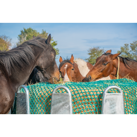 Rundraufe für Pferde, 12 Fressplätze blechverkleidet ohne Dreipunktanhängung