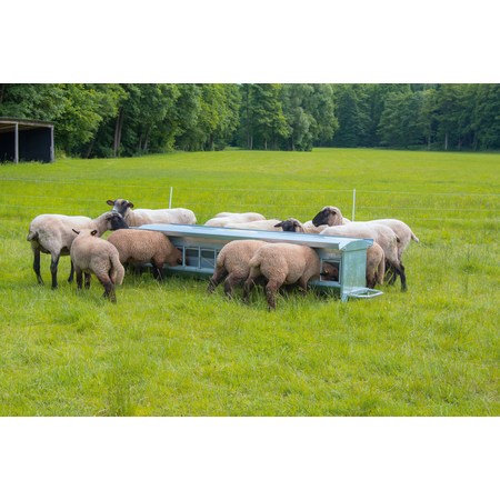 Nourrisseur autom. pour agneaux, L=1,25m mobile, env. 120 l, toit incl., galv.
