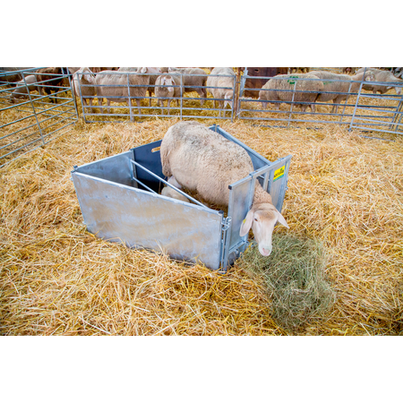 Box d'adoption pour agneaux Kit de base avec  2 parois latérales, galv., pour ovins