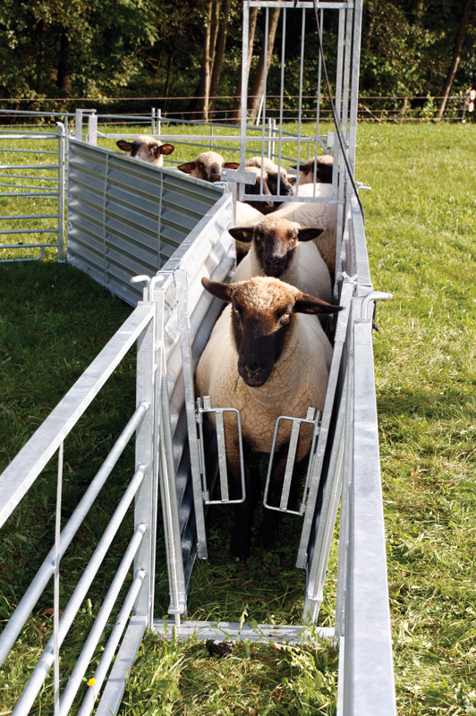 Rücklaufsperre (2-teilig), Schafe, für Horden, verzinkt