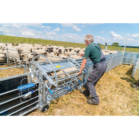Cage de retournement pour moutons essieu inclus