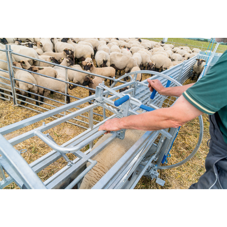 Cage de retournement pour moutons essieu inclus