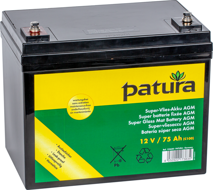Super Glass Mat Battery 12 V / 75 Ah C100, maintenance free, with carrying strap