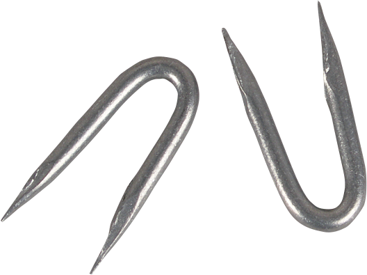 Staples, galvanised, 3.8 x 38 mm, 1 kg = approx. 155 pcs (pack of 1 kg)