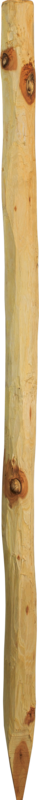 Robinienpfahl, rund, 1,5 m, d=6-8 cm, gefast, 4-fach gespitzt, entrindet