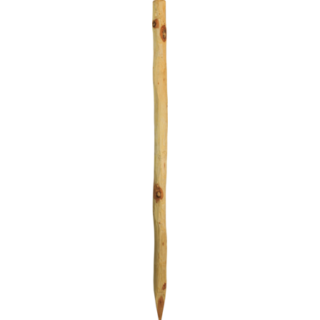 Robinia paal, rond, 1,5 m, d= 6-8 cm, afgeschuind, 4- voudig gescherpt, ontschorst