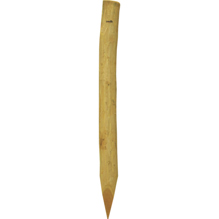 Robinia paal, gehalveerd, 1500 mm, d=13-15 cm, afgeschuind, 3-voudig onthorst