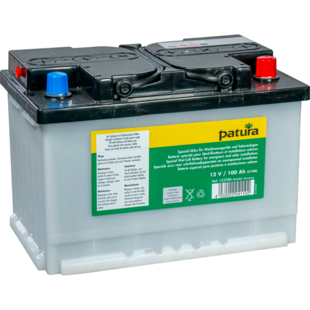 Special Wet-Cell Battery 12 V/100 Ah C100