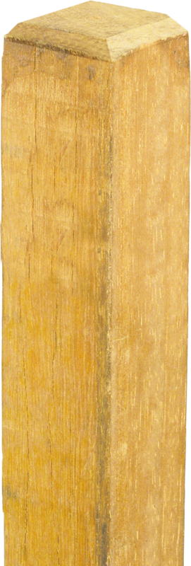 Square Robinia Post 1.50 m (6x6 cm) sawed, chamfered, 4-sides sharpened, rough-cut
