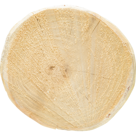 Round Robinia Post, 2000 mm, d=10-12 cm chamfered, 4 side sharpened, debarked
