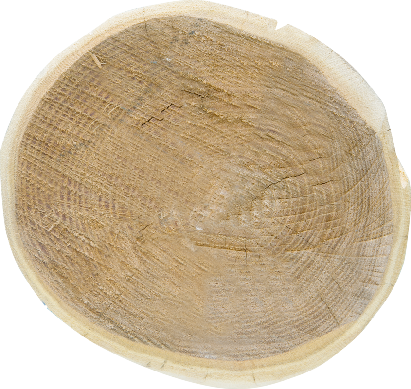 Robinienpfahl, rund, geschliffen, 2250 mm, d=16-18 cm, gefast, gehobelt, 4-fach gespitzt