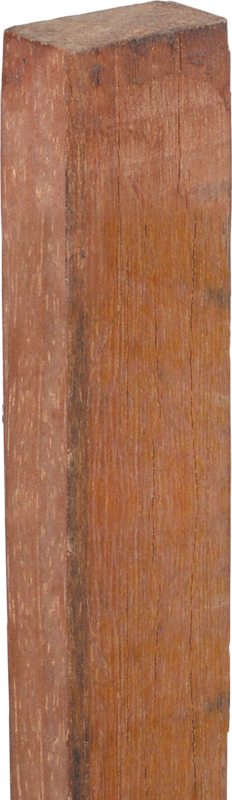 PATURA Hardhouten lat, isolerend 1,24 m (38 x 26 mm)