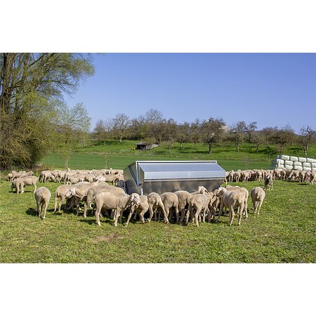 Nourrisseur automatique pour agneaux -pour rationnement alimentaire- Capacité 1000 litres