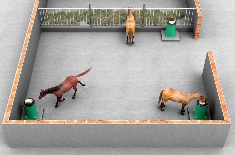 Anordnung von Tränken bei Gruppenhaltung von Pferden