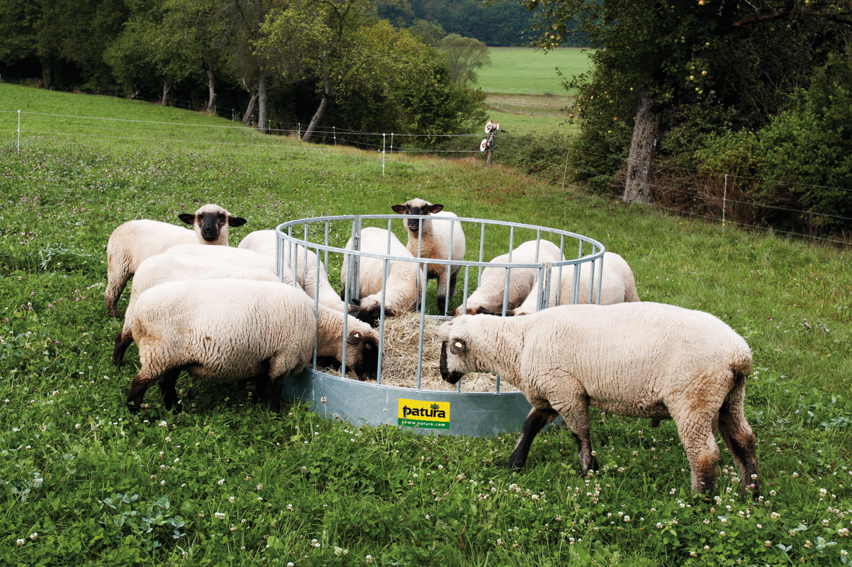 Rundraufe für Schafe, 28 Plätze verzinkt, 2-teilig