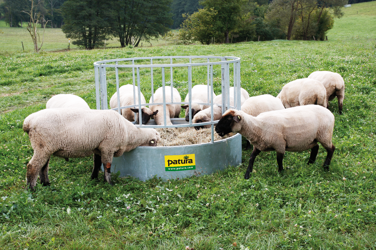 Rundraufe für Schafe, 20 Plätze verzinkt, 2-teilig