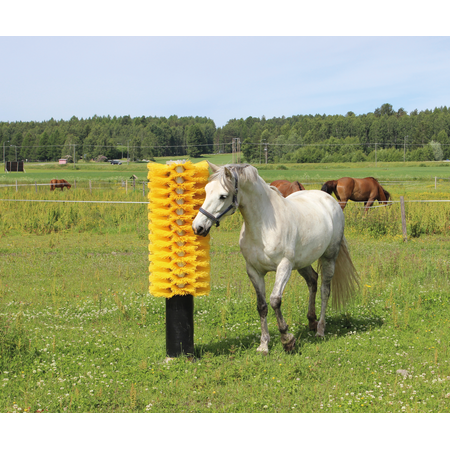 Pfahlbürste mit Bodenplatte für Rinder und Pferde Höhe 1,70 m, Gewicht 55 kg