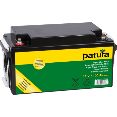 Super Glass Mat Battery 12 V / 100 Ah C100, maintenance free, with carrying handles