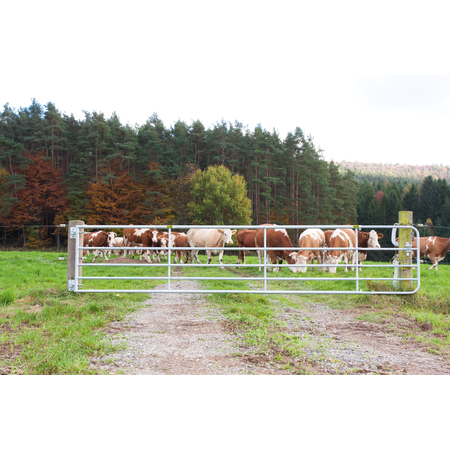 Profi Pasture Gate, adjustable, height 0.90 m, 4.00 - 5.00 m, incl. complete mounting kit