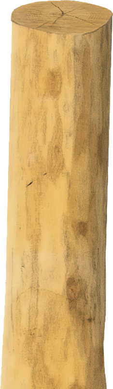 Round Robinia Post, 2250 mm, d=14-16 cm chamfered, 4 side sharpened, debarked