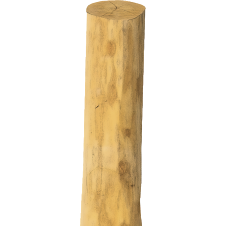 Poteau robinier, rond, 2500mm, d=10-12cm appointé, écorcé