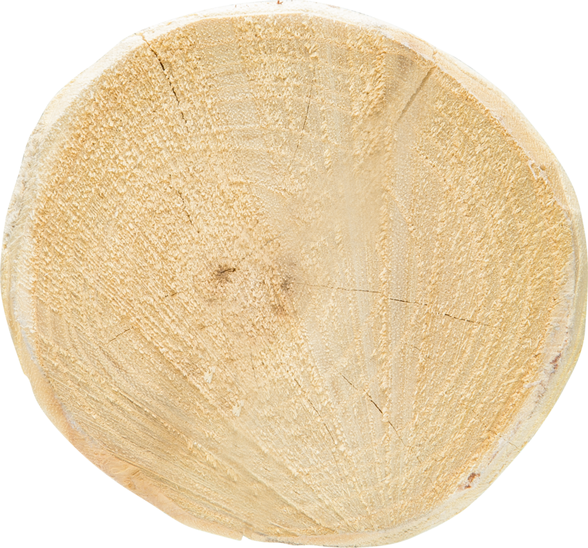 Robinienpfahl, rund, 1,5 m, d=6-8 cm, gefast, 4-fach gespitzt, entrindet