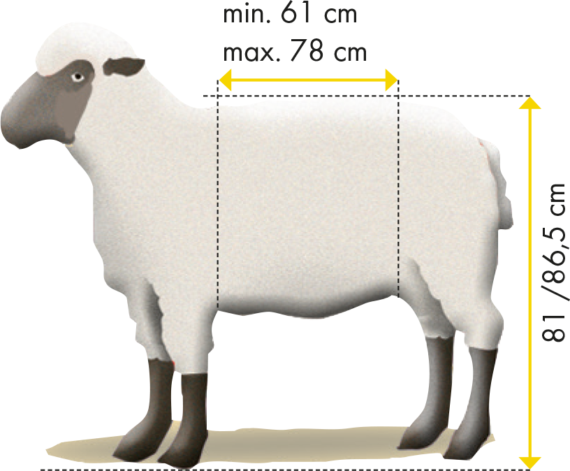 Fang- u. Behandlungsstand Schafe Typ XL, verzinkt