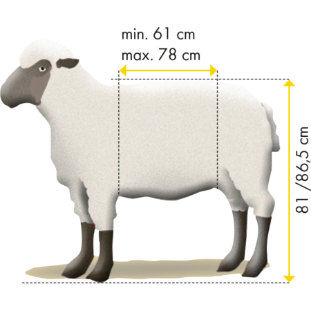 Fang- u. Behandlungsstand Schafe Typ XL, verzinkt