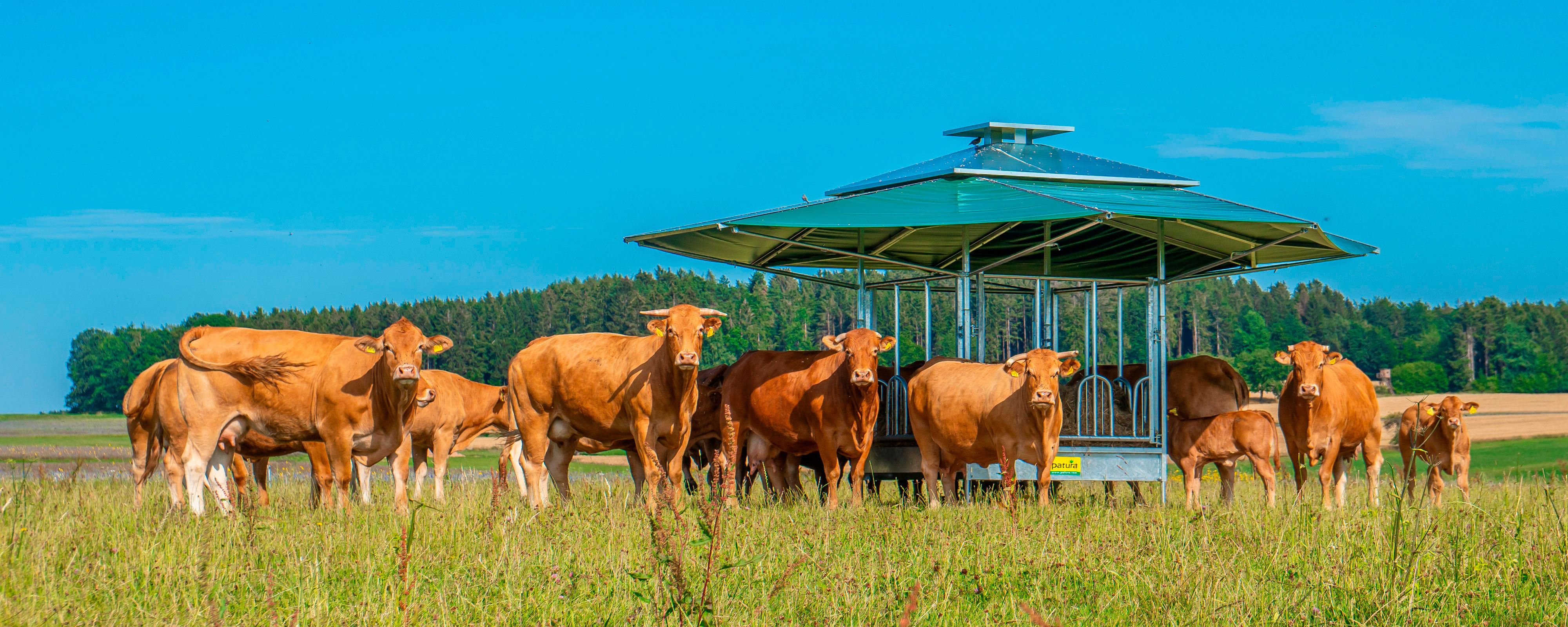PATURA Weather Protective Feeder A new dimension in pasture feeding